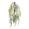 Kunstpflanze Geweihfarnhänger, Grüngrau, 7 Stränge, Höhe Ca. 80 Cm -Pflanzen Paradies Verkauf 2210107872 Geweihfarnheanger 103062