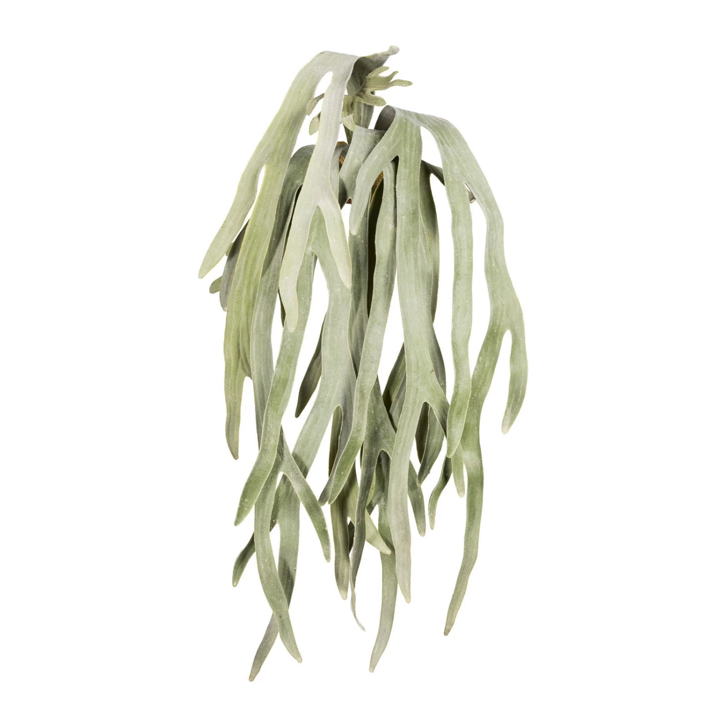 Kunstpflanze Geweihfarnhänger, Grüngrau, 7 Stränge, Höhe Ca. 80 Cm 3 Kunstpflanze Geweihfarnhänger, Grüngrau, 7 Stränge, Höhe Ca. 80 Cm