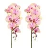 Kunstpflanze Orchideenzweig, Grünrosa, Ca. 87 Cm, 2 Stück -Pflanzen Paradies Verkauf 2210500112 Phalenopsisx7 3D print 87cm gruenrosa 1 122681