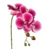 Kunstpflanze Phalaenopsis 'Real Touch', 4 Blüten, Orchid, Höhe Ca. 42 Cm -Pflanzen Paradies Verkauf 2210500167 Phalaenopsis 3D print x4 orchid 97699