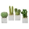 Kunstpflanze Kakteen Im Zementtopf, Höhe 10-13 Cm, 4 Stück -Pflanzen Paradies Verkauf 2220101771 Kakteen im Zementtopf 4fach sort 10 13cm 4er Set 46411