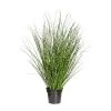 Kunstpflanze Miscanthus Zebrinus, Ca. 110 Cm, Im Einfachen Kunststofftopf -Pflanzen Paradies Verkauf 2220101973 Miscanthus Zebrinus ca 110cm im einfachen Kunststofftopf 16x15cm 61702