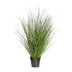 Kunstpflanze Miscanthus Zebrinus, Ca. 110 Cm, Im Einfachen Kunststofftopf