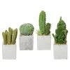 4er-Set Künstliche Kakteen, Grün, Höhe 13-22 Cm, Zementtopf 7 X 7 X 8 Cm -Pflanzen Paradies Verkauf 2220102019 Kakteen 13 22cm 66993