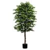 Künstlicher Ficus Benjamini, Birkenfeige, Grün, Ca. 210 Cm, Ca. 2.268 Blätter -Pflanzen Paradies Verkauf 2220102146 Ficus Benjamini gruen Naturstamm 2268Bl im Topf 75961