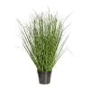 Kunstpflanze Chinaschilfgras, Grün, Topf-Ø 15 Cm, Höhe Ca. 80 Cm -Pflanzen Paradies Verkauf 2220102240 Miscanthus Zebrinus ca 80cm im Topf 97701