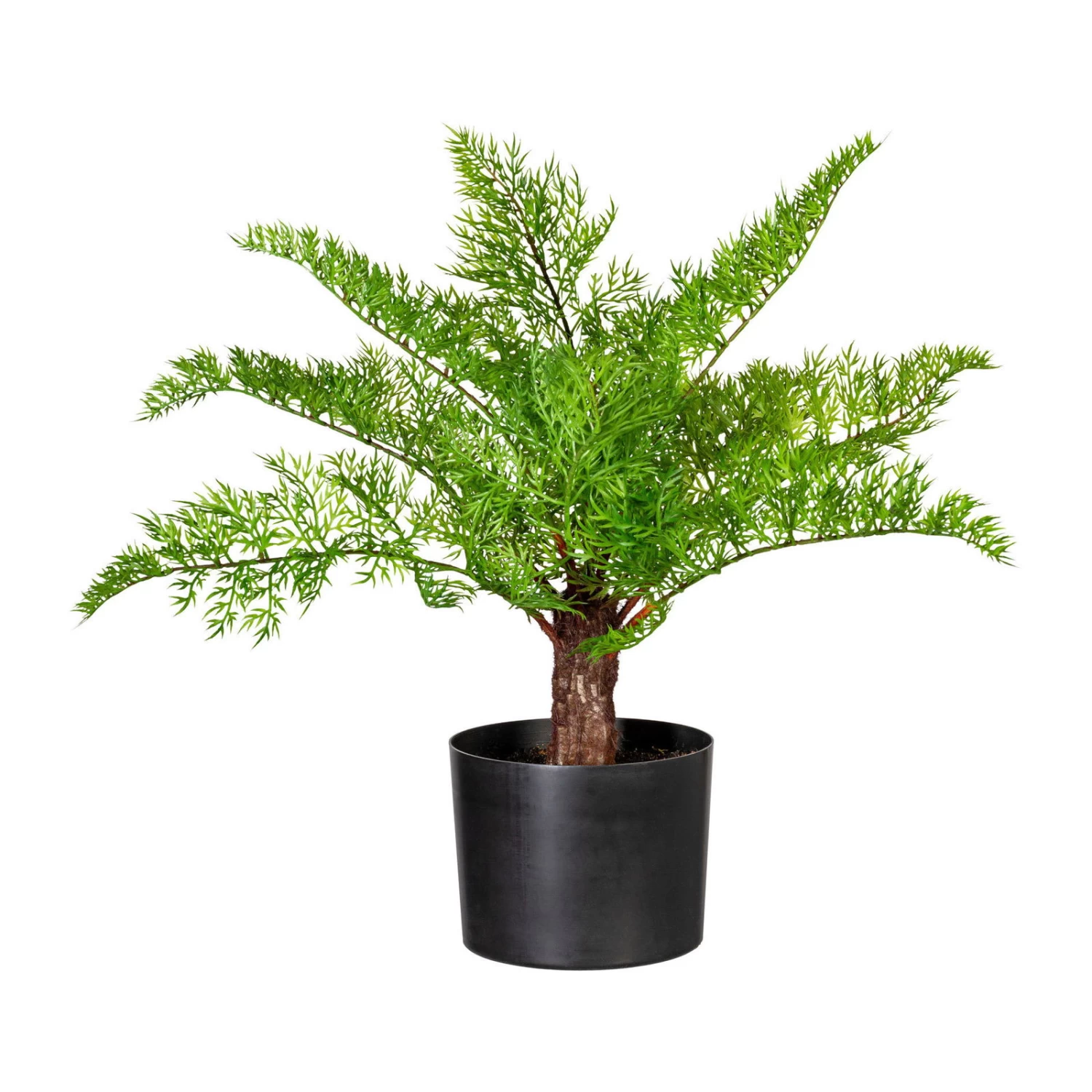 Kunstpflanze Daucus Carota, 9 Wedel, Höhe Ca. 45 Cm 3 Kunstpflanze Daucus Carota, 9 Wedel, Höhe Ca. 45 Cm