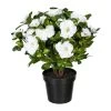 Kunstpflanze Azaleenbusch, Weiß, Ca. 32 Cm, Mit Topf -Pflanzen Paradies Verkauf 2220200115 Azaleenbusch x6 weiss ca 32cm im einfachen Kunststofftopf 11x9 5cm 61715