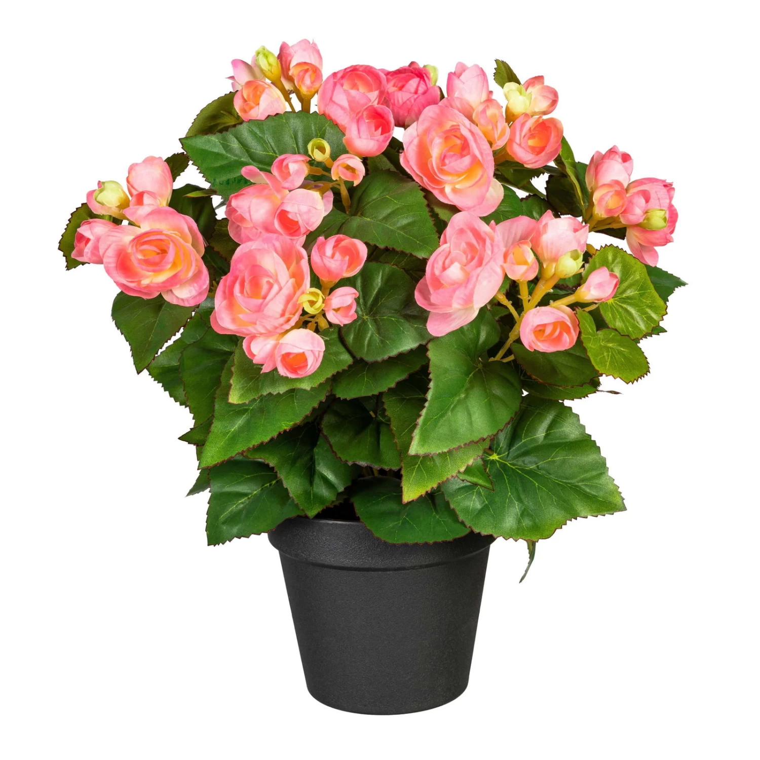 Kunstpflanze Begonienbusch, Rosa, Ca. 35 Cm, Im Topf 3 Kunstpflanze Begonienbusch, Rosa, Ca. 35 Cm, Im Topf