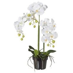 Kunstpflanze Orchidee Phalaenopsis Weiß, Im Kunststofftopf, Ca. 62 Cm