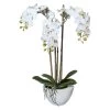 Kunstpflanze Mini-Orchidee Phalaenopsis Weiß, In Keramikschale, Ca. 51 Cm -Pflanzen Paradies Verkauf 2220500128 Miniphalaenopsis weiss ca51cm in weisser Keramikschale 14x8 5cm 46461