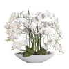Kunstpflanze Phalaenopsis Orchidee Weiß, Mit Weißer Keramikschale, Ca. 70 Cm -Pflanzen Paradies Verkauf 2220500152 Phalaenopsis weiss ca70cm in weisser Keramikschale 50x15x10cm 46482