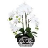 Kunstpflanze Orchidee Weiß In Silberfarbener Ovalvase, Ca. 55 Cm 1 Kunstpflanze Orchidee Weiß In Silberfarbener Ovalvase, Ca. 55 Cm -Pflanzen Paradies Verkauf 2220500154 Phalaenopsis weiss ca55cm in silberfarbener Ovalvase 20x11x13cm 46484