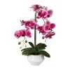 Orchidee Phalaenopsis, Künstlich, Fuchsia, Ca. 52 Cm, Keramiktopf 15 X 9,5 Cm 1 Orchidee Phalaenopsis, Künstlich, Fuchsia, Ca. 52 Cm, Keramiktopf 15 X 9,5 Cm -Pflanzen Paradies Verkauf 2220500208 Orchidee Phalaenopsis fuchsia 52cm weissen Keramiktopf 15x9 5cm 61746
