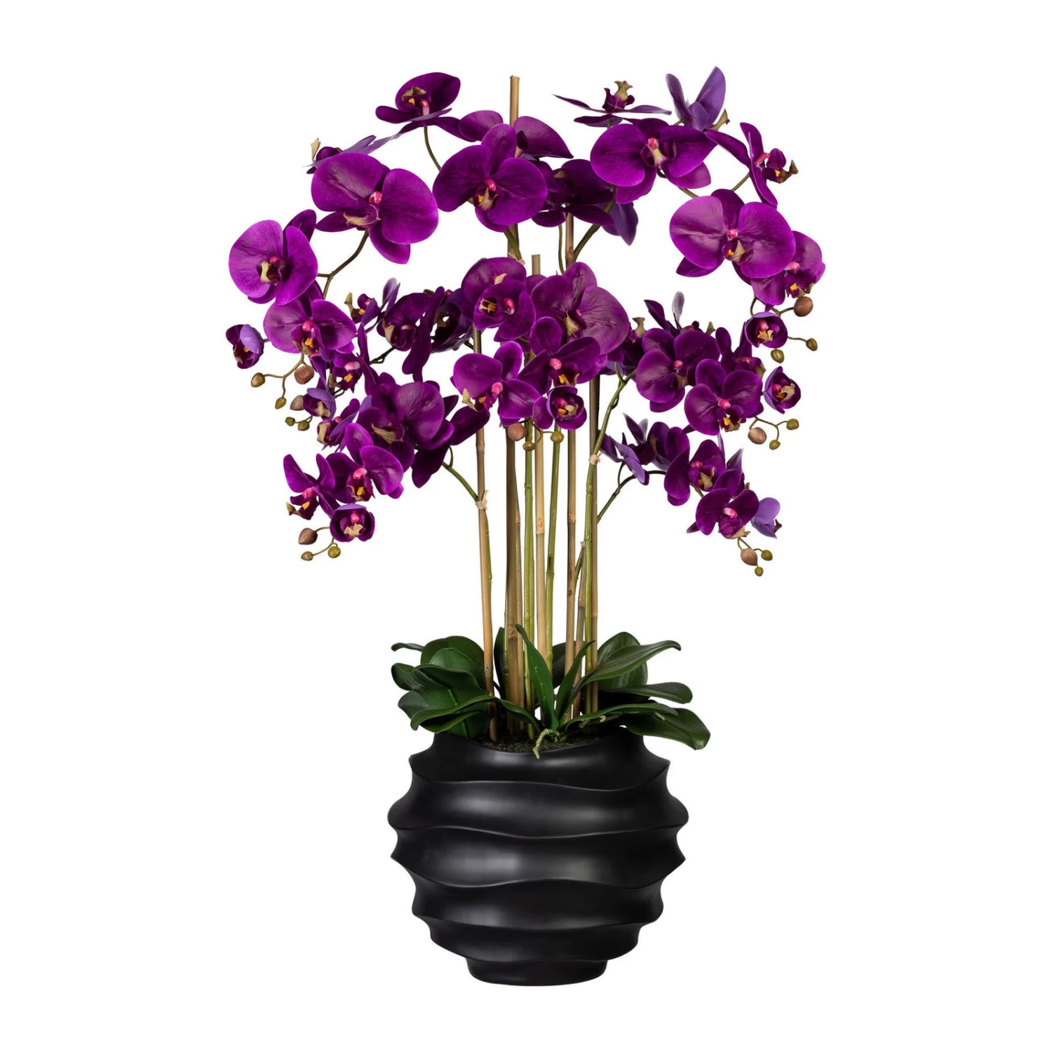 Künstliche Orchidee, Phalaenopsis, 7 Rispen, Lila Blüten, Ca. 95 Cm, 30 X 25 Cm Kunststofftopf Schwarz 3 Künstliche Orchidee, Phalaenopsis, 7 Rispen, Lila Blüten, Ca. 95 Cm, 30 X 25 Cm Kunststofftopf Schwarz