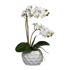 Künstliche Mini-Orchidee, Phalaenopsis, 2 Rispen, Weiße Blüten, Ca. 40 Cm, 13,5 X 9,5 X 7 Cm Keramikvase In Weiß