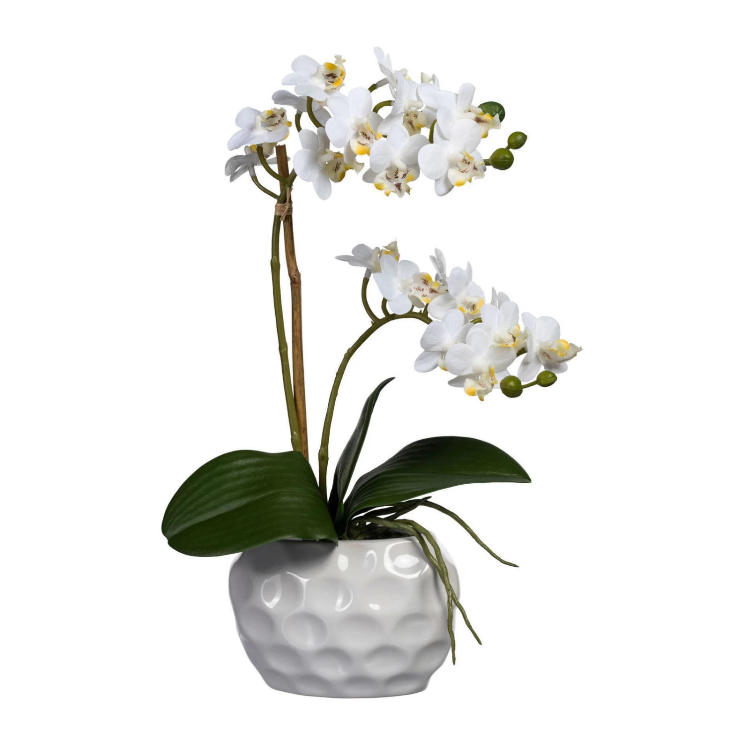 Künstliche Mini-Orchidee, Phalaenopsis, 2 Rispen, Weiße Blüten, Ca. 40 Cm, 13,5 X 9,5 X 7 Cm Keramikvase In Weiß 3 Künstliche Mini-Orchidee, Phalaenopsis, 2 Rispen, Weiße Blüten, Ca. 40 Cm, 13,5 X 9,5 X 7 Cm Keramikvase In Weiß