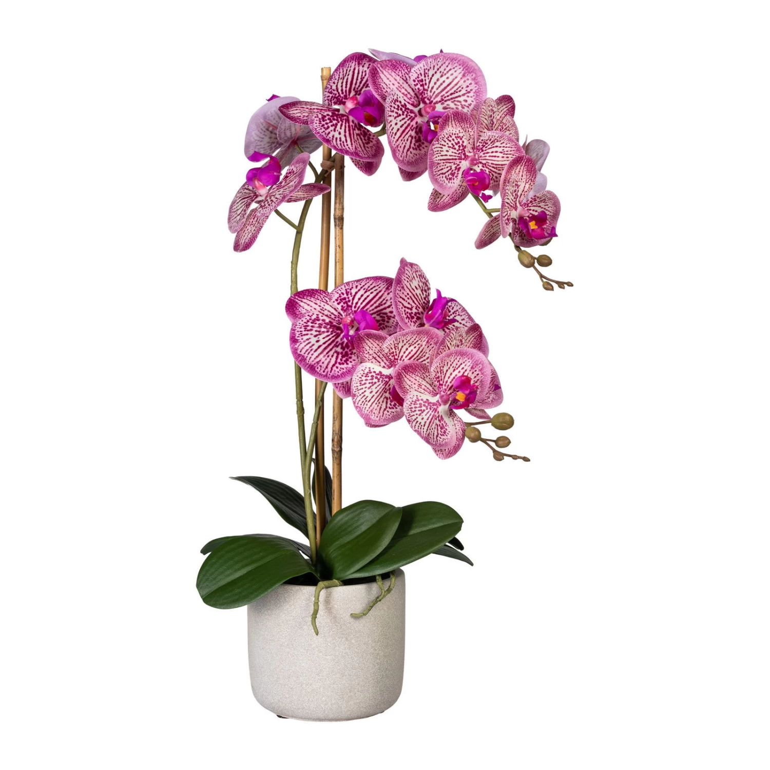 Künstliche Orchidee, Phalaenopsis, 2 Rispen, Pinkcreme, Ca. 60 Cm, 13 X 11 Cm Zementtopf In Grau 3 Künstliche Orchidee, Phalaenopsis, 2 Rispen, Pinkcreme, Ca. 60 Cm, 13 X 11 Cm Zementtopf In Grau