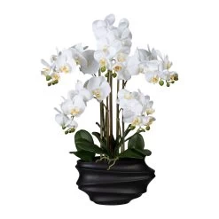 Künstliche Orchidee, Phalaenopsis, 5 Rispen, Weiß, Ca. 75 Cm, 30 X 17 X 12 Cm Kunststoffvase In Schwarz