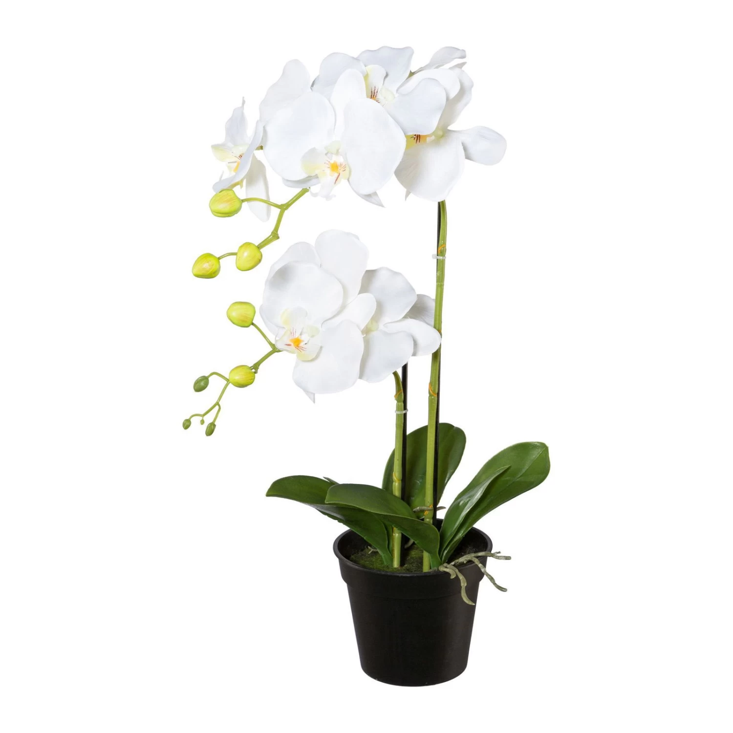 Kunstpflanze Phalaenopsis, Weiß, Topf-Ø 12,5 Cm, Höhe Ca. 55 Cm 3 Kunstpflanze Phalaenopsis, Weiß, Topf-Ø 12,5 Cm, Höhe Ca. 55 Cm