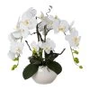 Kunstpflanze Phalaenopsis 'Real Touch', Weiß, Topf-Ø 18 Cm, Höhe Ca. 55 Cm -Pflanzen Paradies Verkauf 2220500338 Phalaenopsisarrangement 55cm weiss 97743