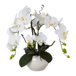 Kunstpflanze Phalaenopsis 'Real Touch', Weiß, Topf-Ø 18 Cm, Höhe Ca. 55 Cm