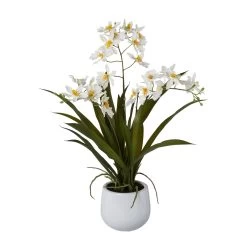 Kunstpflanze Gambia-Orchidee, Weiß, Topf-Ø 12 Cm, Höhe Ca. 50 Cm
