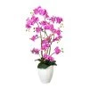 Kunstpflanze Phalaenopsis 'Real Touch', Lilapink, Topf-Ø 24 Cm, Höhe Ca. 110 Cm -Pflanzen Paradies Verkauf 2220500371 Orchidee Phalaenopsis x12 ca 110cm lila 97775