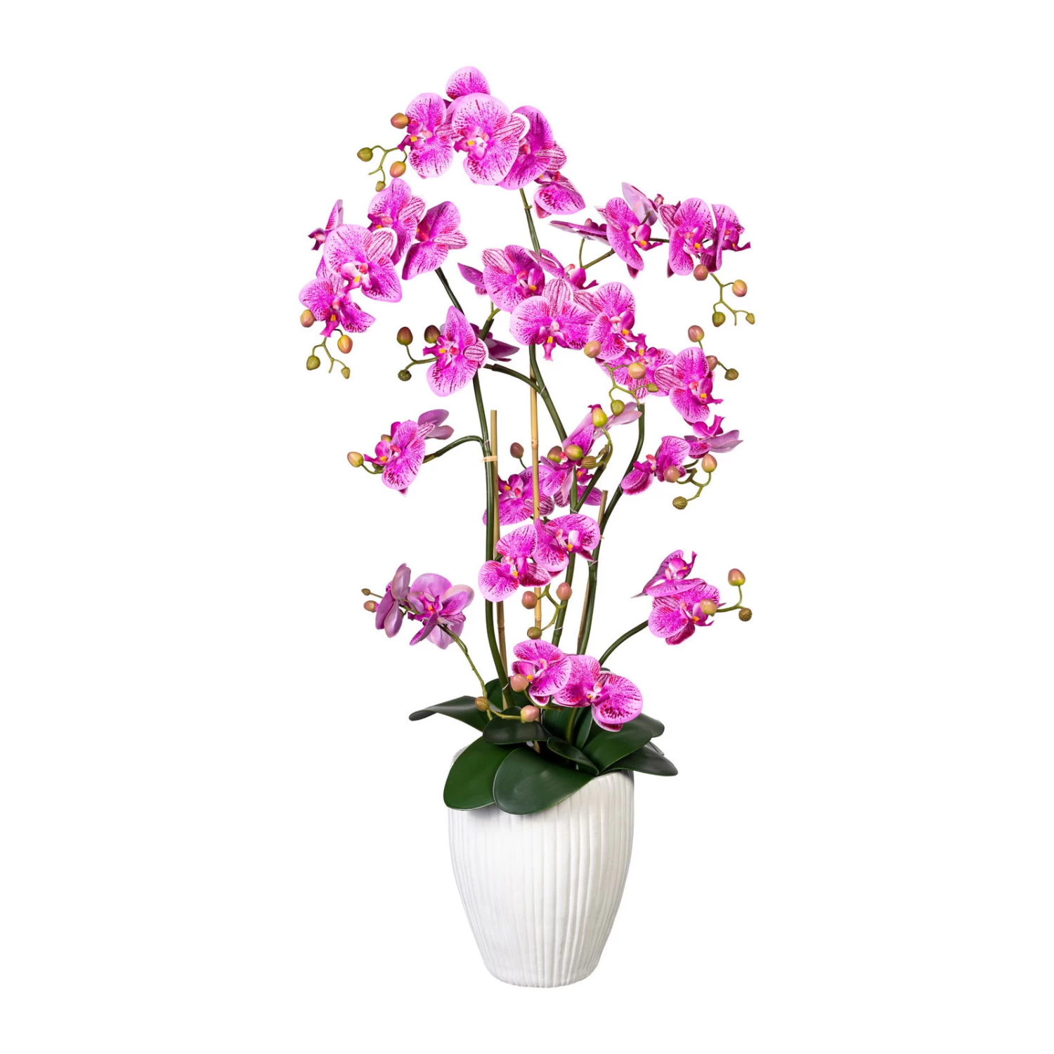 Kunstpflanze Phalaenopsis 'Real Touch', Lilapink, Topf-Ø 24 Cm, Höhe Ca. 110 Cm 3 Kunstpflanze Phalaenopsis 'Real Touch', Lilapink, Topf-Ø 24 Cm, Höhe Ca. 110 Cm