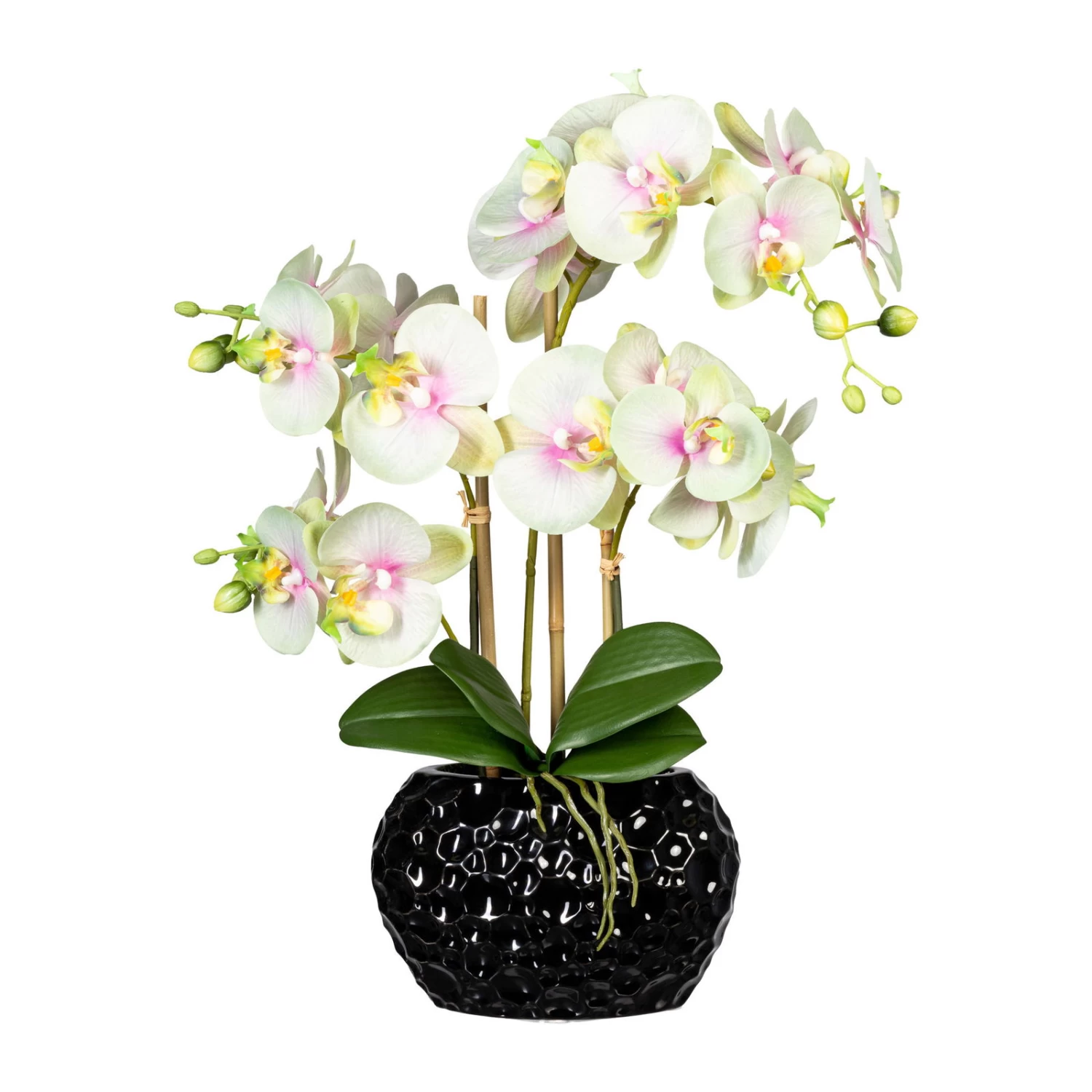 Kunstpflanze Phalaenopsis, 4 Triebe, Grüncreme, Höhe Ca. 55 Cm 3 Kunstpflanze Phalaenopsis, 4 Triebe, Grüncreme, Höhe Ca. 55 Cm