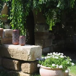 Kölle LED-Solarlaterne Adana, Gold Matt, Höhe 26 Cm, Ø 16 Cm -Pflanzen Paradies Verkauf 2950100472 2950100469 Adana 1 113714