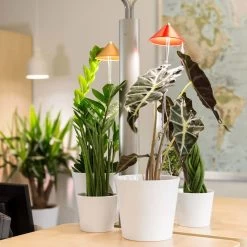 Sunlite Pflanzenlampe Kupfer, 7 Watt -Pflanzen Paradies Verkauf 2950200231 Sunlite Pflanzenlampe Kupfer 7W 4 60396