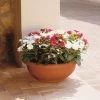 Euro 3 Plast Pflanzschale Olimpo Terra -Pflanzen Paradies Verkauf 3210100222 Pflanzschale Olimpo terra 50cm Erdvol 22Ltr 34296