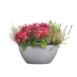 LECHUZA® Pflanzschale Cubeto Steingrau -Pflanzen Paradies Verkauf 3210103386 Pflanzschale Cubeto steingrau D40cm Erdvol11 5l 38975
