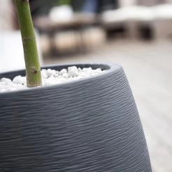 Pflanzgefäß Graphit Egg, Anthrazit, Wasserdicht, Robust -Pflanzen Paradies Verkauf 3210103698 Pflanzgefaess Graphit Egg anthrazit D50xH60cm 53Ltr 2 62075