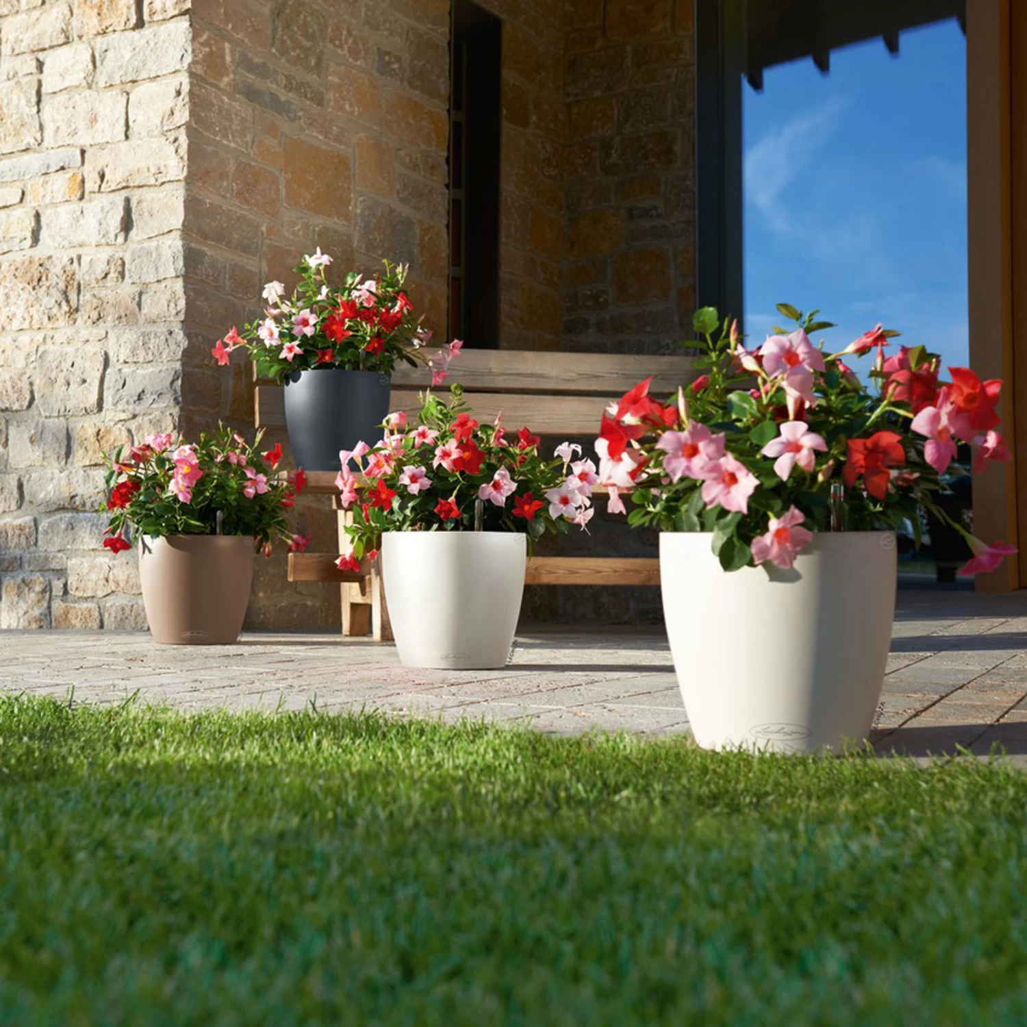 LECHUZA Pflanzgefäß 'Classico Color 70', Grau, Ø 70 X H 64,5 Cm 5 LECHUZA Pflanzgefäß 'Classico Color 70', Grau, Ø 70 X H 64,5 Cm – Bild 3