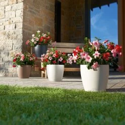 LECHUZA Pflanztopf 'Classico Color 60', Grau, Ø 60 X H 55,5 Cm 7 LECHUZA Pflanztopf 'Classico Color 60', Grau, Ø 60 X H 55,5 Cm -Pflanzen Paradies Verkauf 3210103919 Pflanzgefaess Classico Color 60 All in 1 schiefergrau 3 109198