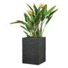 Pflanzgefäß 'Muretto High', Eckig, Stein, Schwarz, Kunststoff 2 Pflanzgefäß 'Muretto High', Eckig, Stein, Schwarz, Kunststoff -Pflanzen Paradies Verkauf 3210103983 3210103984 Pflanzgefaess Muretto High schwarz 97792