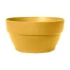Elho Pflanzschale 'Vibia Campana', Gelb, Kunststoff, Ø33,9 X H17,4 Cm -Pflanzen Paradies Verkauf 3210104052 Pflanzschale Vibia Campana 34 honig gelb 104806