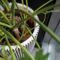 Pflanzgefäß 'Groove', Elfenbein, Ø 35 X H 34 Cm -Pflanzen Paradies Verkauf 3210104106 3210104107 3210104108 pflanzgefaess pflanzvase groove 116896