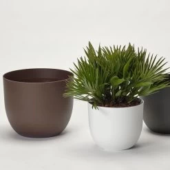 Pflanzkübel 'Rio', Rost, Ø 29 X H 24 Cm 7 Pflanzkübel 'Rio', Rost, Ø 29 X H 24 Cm -Pflanzen Paradies Verkauf 3210104130 3210104131 3210104132 pflanzkuebel rio 1 122626