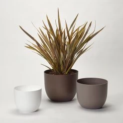 Pflanzkübel 'Rio', Weiß, Ø 34 X H 28 Cm -Pflanzen Paradies Verkauf 3210104131 3210104132 3210104133 pflanzkuebel rio 122625 2