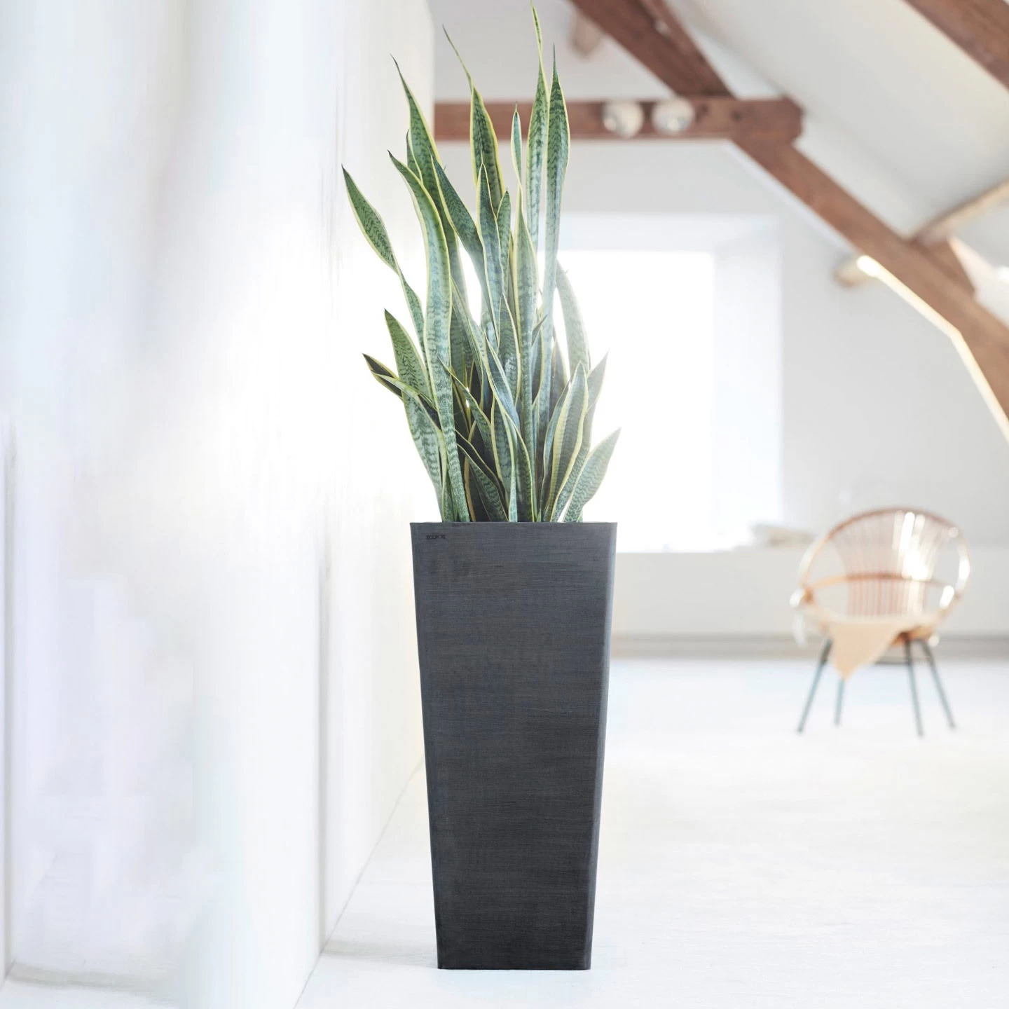 Pflanzgefäß 'Rotterdam MidHigh', Dunkelgrau 5 Pflanzgefäß 'Rotterdam MidHigh', Dunkelgrau – Bild 3