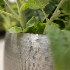 Pflanzgefäß 'Rowen', Silber, Ø 31 X H 28 Cm -Pflanzen Paradies Verkauf 3210801625 3210801626 3210801627 3210801628 Pflanzgefaess Rowen silber 9 115005