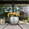 Pflanzgefäß 'Rowen', Silber, Ø 31 X H 28 Cm -Pflanzen Paradies Verkauf 3210801625 Pflanzgefaess Rowen silber D 31 x H 28 cm 3 115007