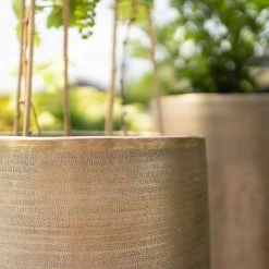 Pflanzgefäß 'Rowen', Gold, Ø 31 X H 55 Cm -Pflanzen Paradies Verkauf 3210801630 3210801631 3210801632 3210801633 Pflanzgefaess Rowen gold 3 115016 1