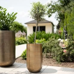 Pflanzgefäß 'Rowen', Gold, Ø 38 X H 62 Cm 14 Pflanzgefäß 'Rowen', Gold, Ø 38 X H 62 Cm -Pflanzen Paradies Verkauf 3210801630 3210801631 3210801632 3210801633 Pflanzgefaess Rowen gold 4 115017