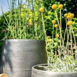 Pflanzgefäß 'Rowen', Silber, Ø 31 X H 55 Cm 16 Pflanzgefäß 'Rowen', Silber, Ø 31 X H 55 Cm -Pflanzen Paradies Verkauf 3210801635 3210801636 3210801637 3210801638 Pflanzgefaess Rowen silber 12 115029