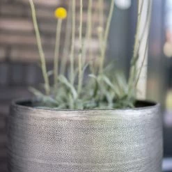 Pflanzgefäß 'Rowen', Silber, Ø 31 X H 55 Cm 19 Pflanzgefäß 'Rowen', Silber, Ø 31 X H 55 Cm -Pflanzen Paradies Verkauf 3210801635 3210801636 3210801637 3210801638 Pflanzgefaess Rowen silber 7 115026