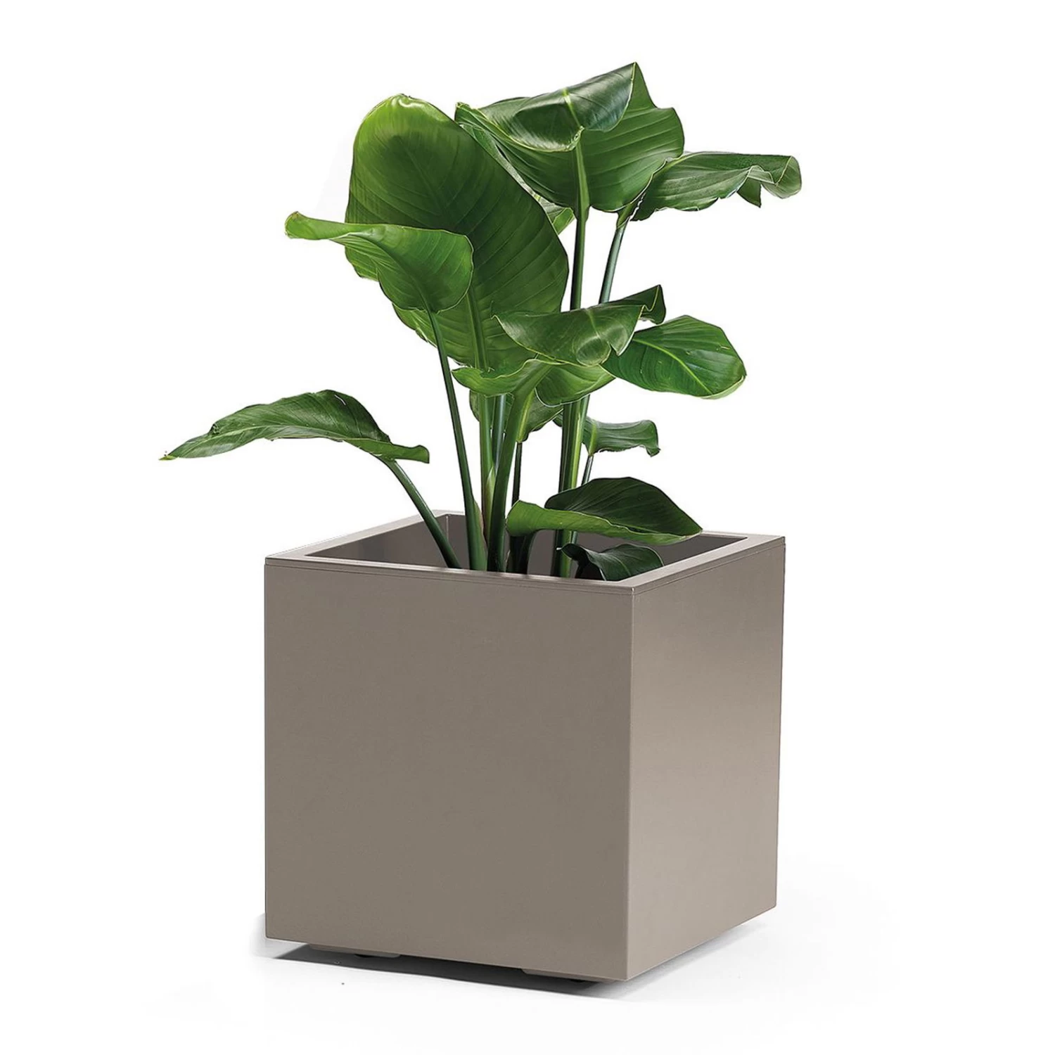 Pflanzkasten 'Kebe', Taupe, 35 Liter, 39,5 X 39,5 X 39,5 Cm 3 Pflanzkasten 'Kebe', Taupe, 35 Liter, 39,5 X 39,5 X 39,5 Cm